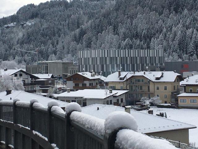 Molina MAV neve